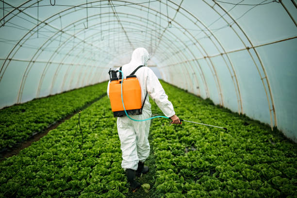 Best Insect Control  in Thomson, GA