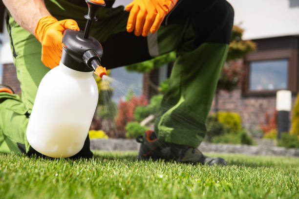 Best Pest Prevention Services  in Thomson, GA