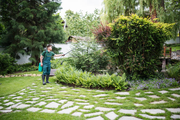 Best Best Pest Control Companies  in Thomson, GA