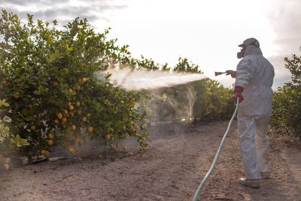 Best Mosquito Control Services  in Thomson, GA