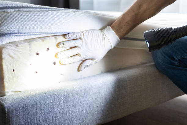 Best Exterminator Services  in Thomson, GA
