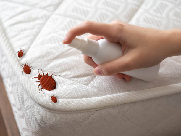 Flea Control Services in Thomson, GA