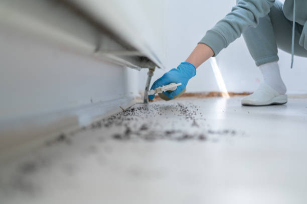 Best Local Pest Control Services  in Thomson, GA